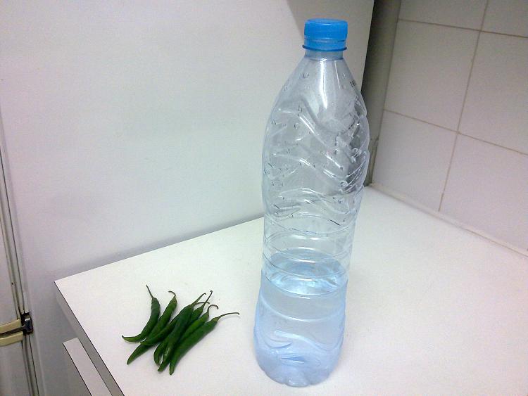Today [8]-peppers-equals-lots-water.jpg