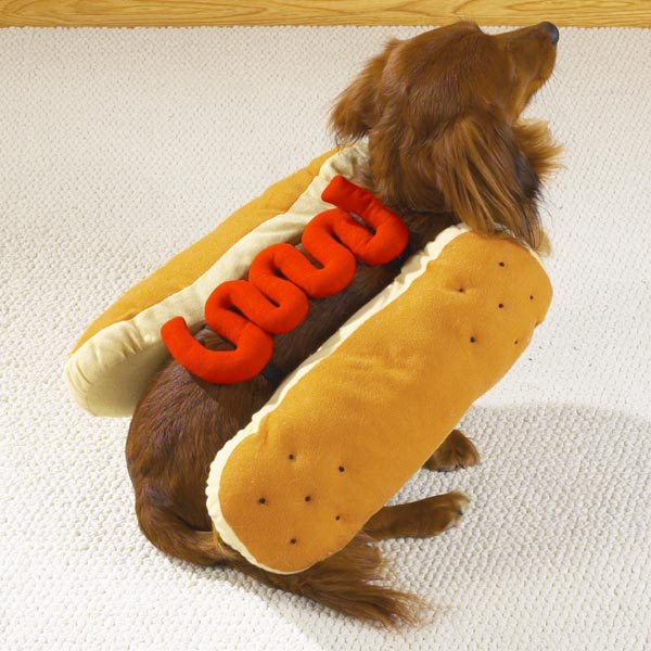 Funny and Geeky Cool Pics [2]-hot-dog-k.jpg