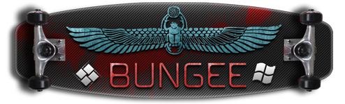 Custom Made Sig and Avatar [11]-bungee.png