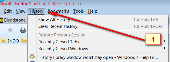 History library window won't stay open-historylibrary.jpg